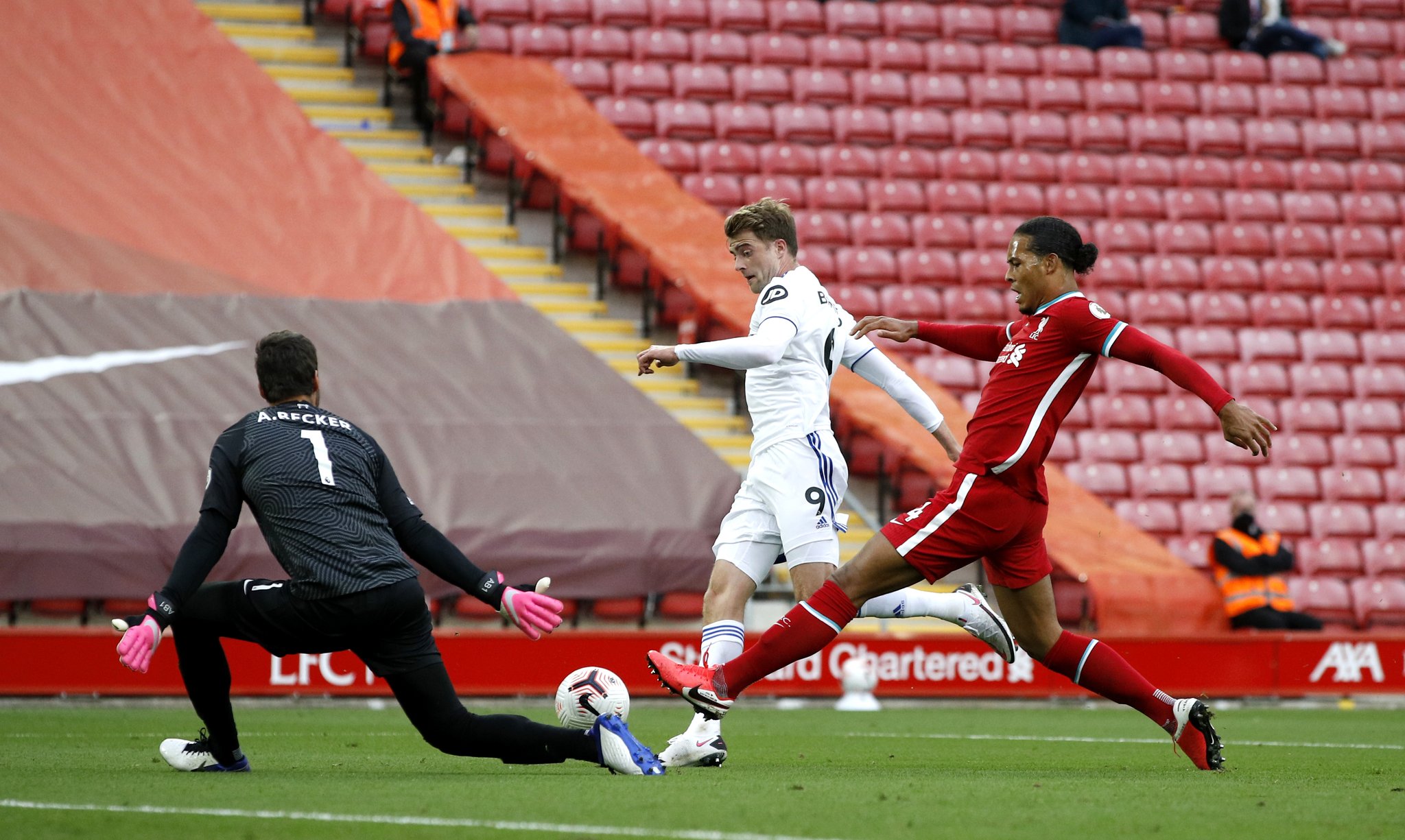 球迷和公众 球迷和公众