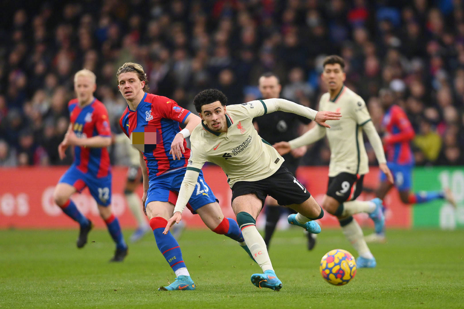 堅持不懈的 堅持不懈的